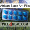 African Black Ant Pills viagra1